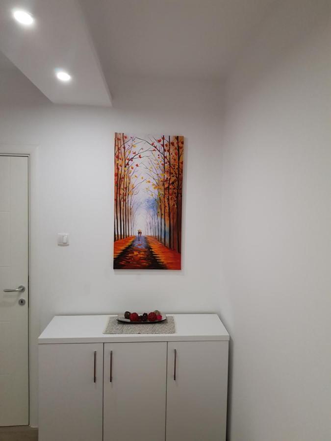 Apartment Gea 18 Novi Sad Dış mekan fotoğraf